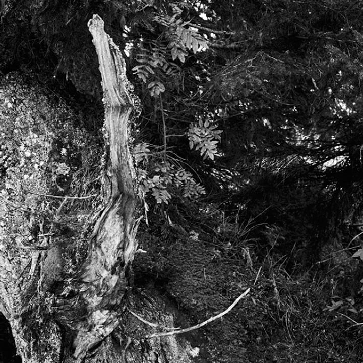 current-investment-opportunities-oomnium